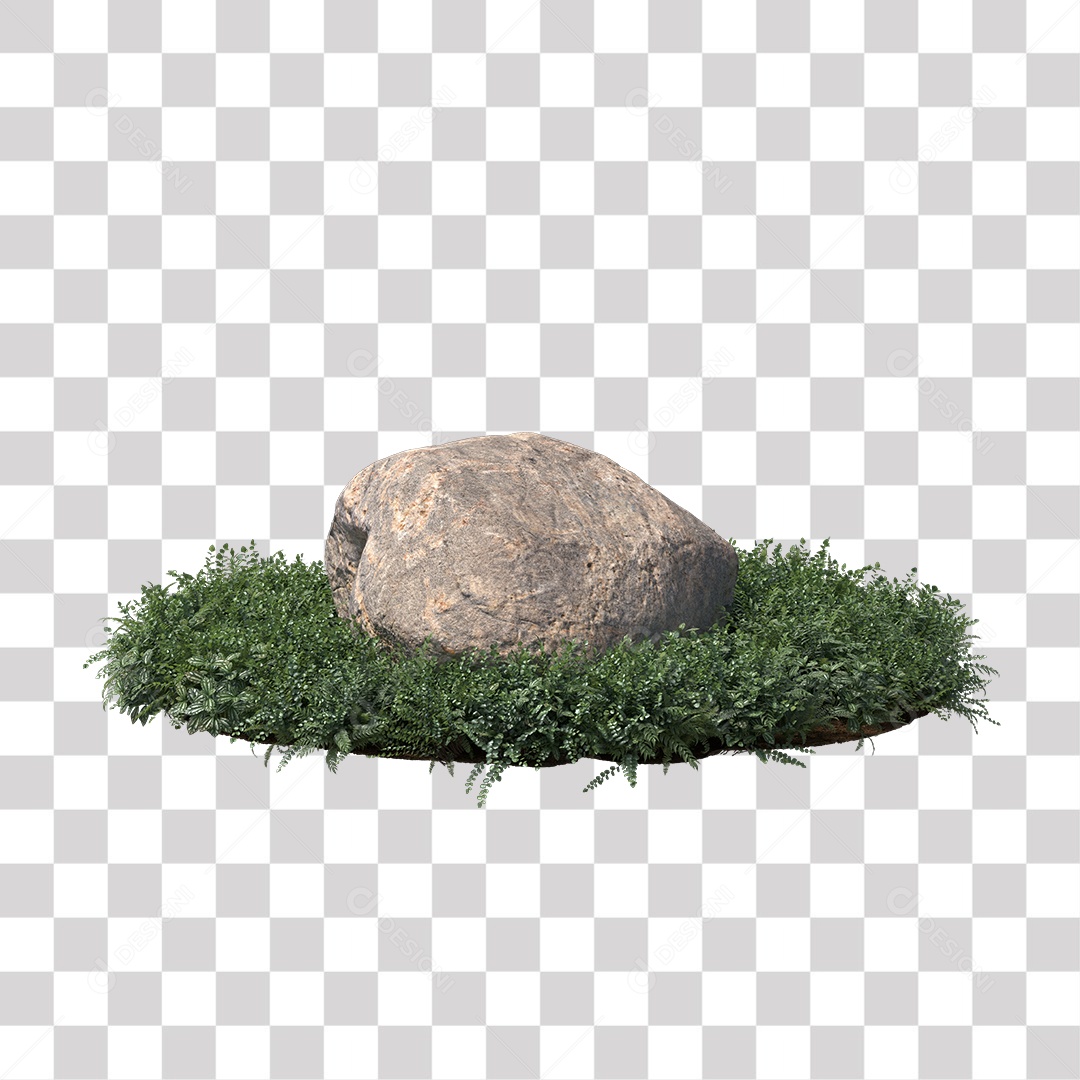 Planta com folhas verdes pedra PNG Transparente