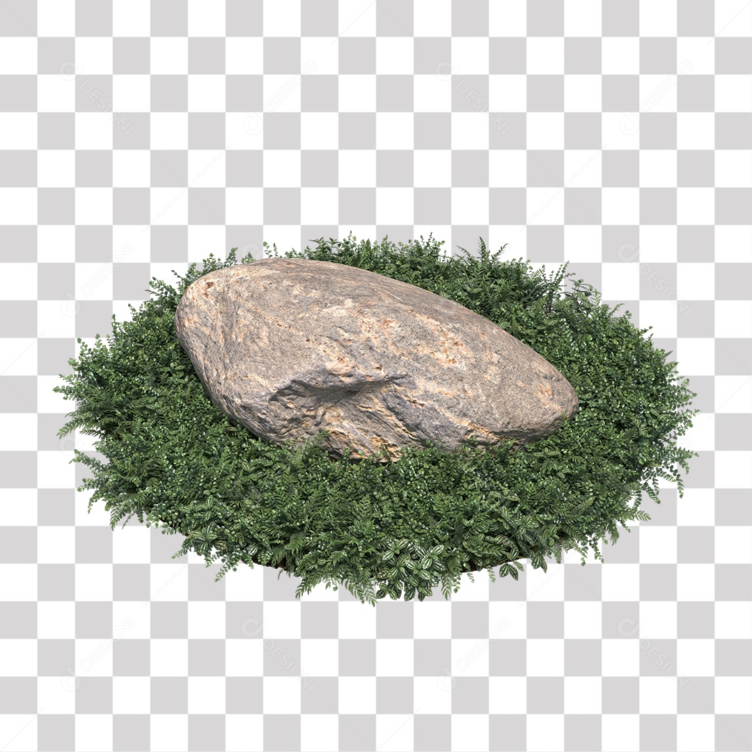 Planta Arbusto PNG Transparente