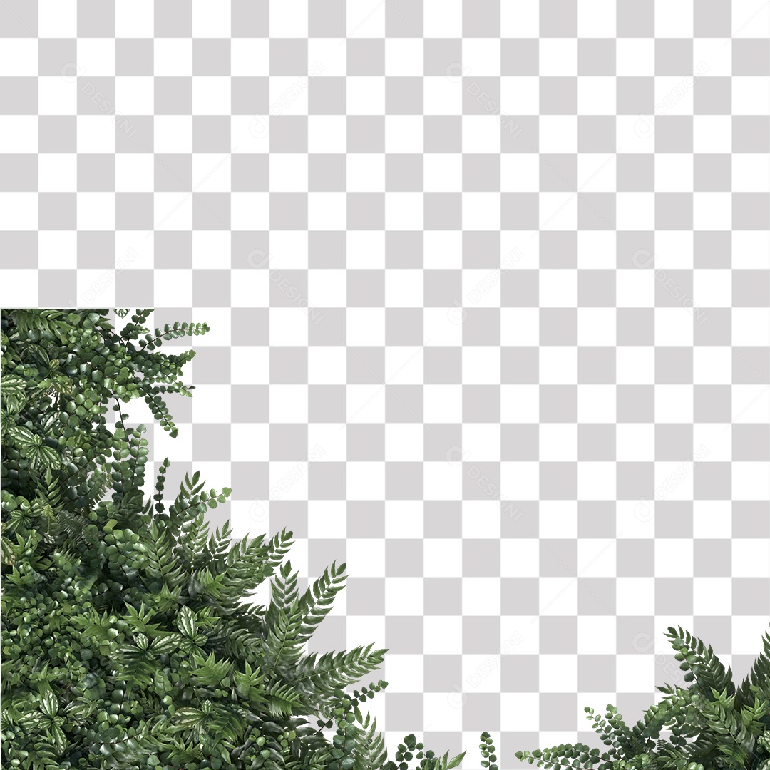 Planta Arbusto PNG Transparente