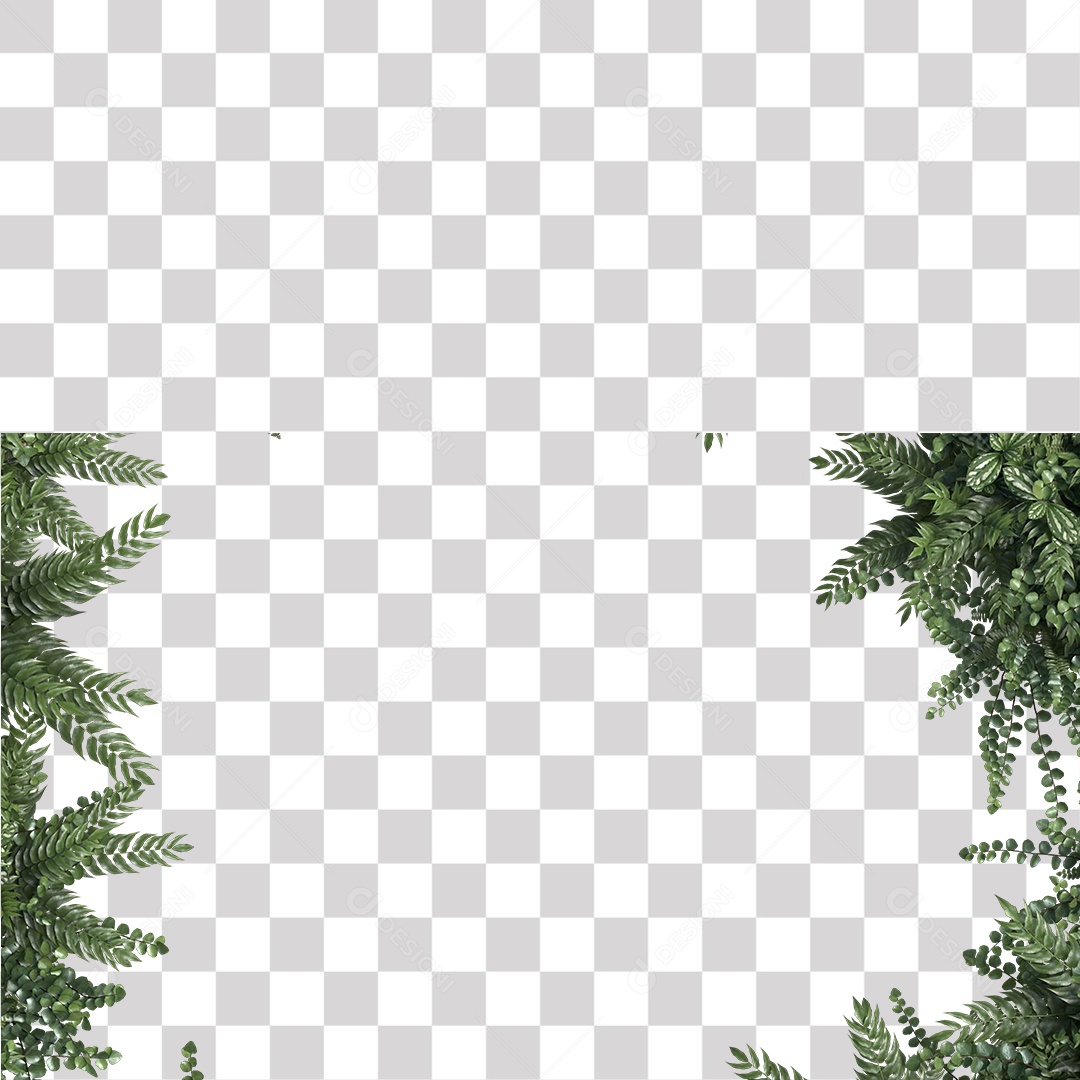 Planta Arbusto estrada PNG Transparente