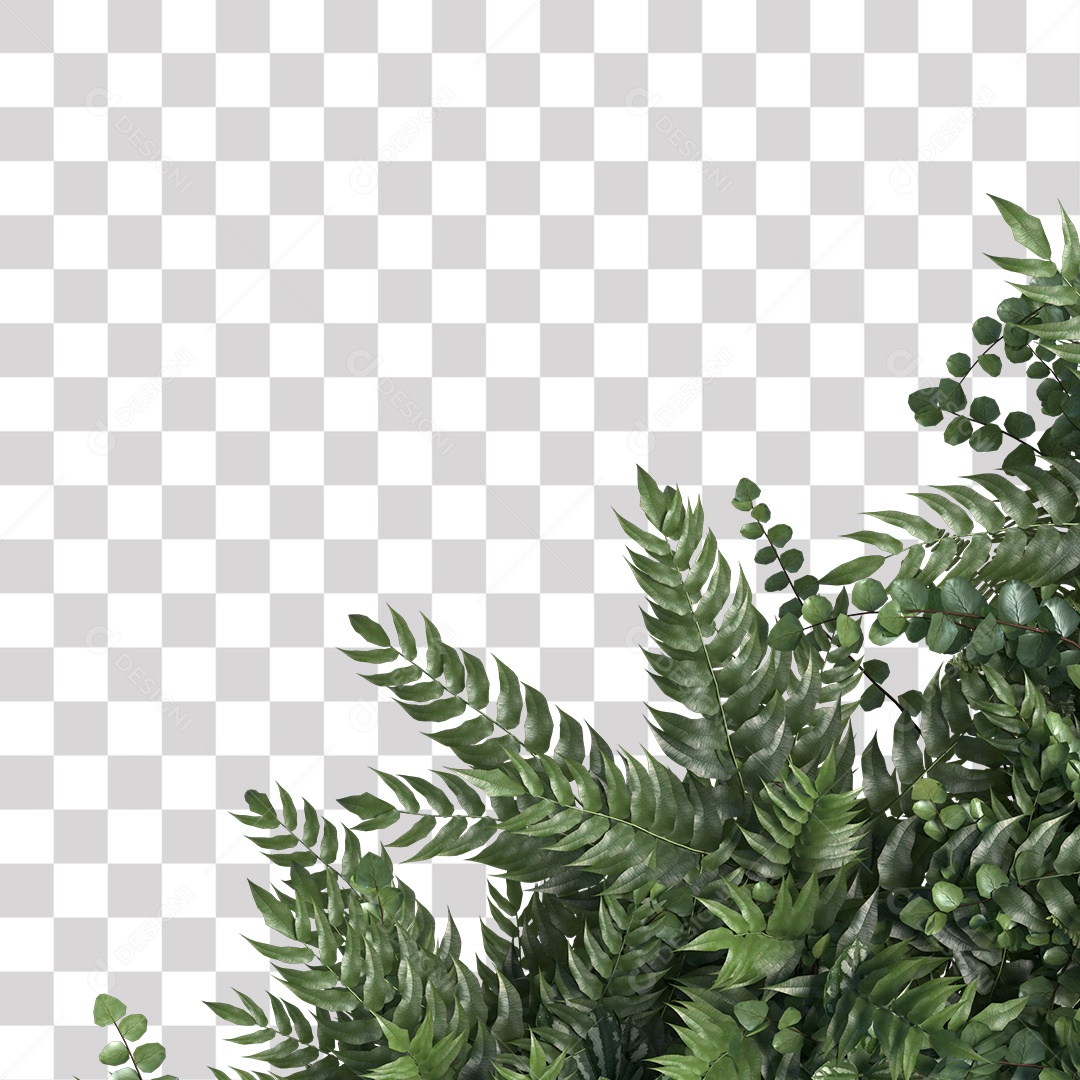 Planta Arbusto PNG Transparente