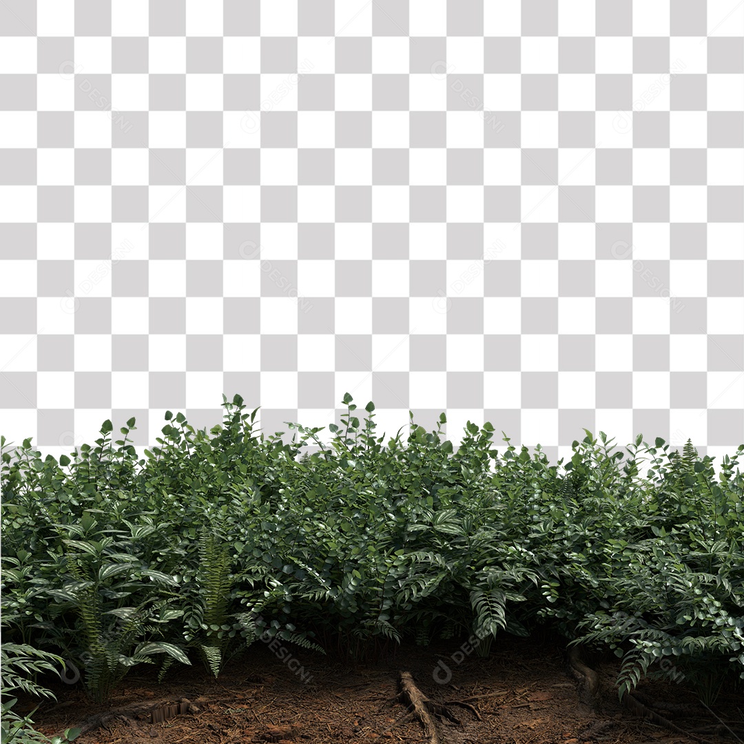 Planta Arbusto PNG Transparente