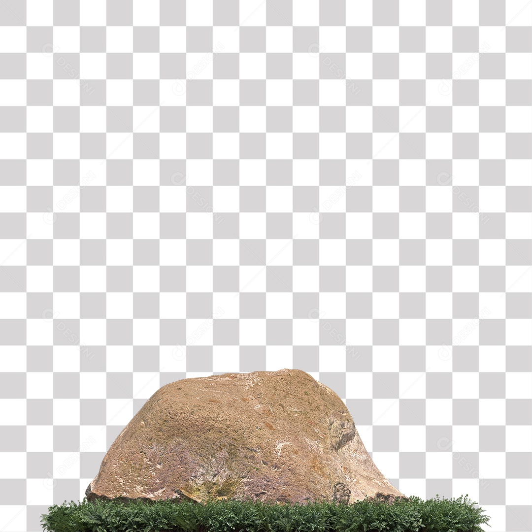 Planta com folhas verdes pedra PNG Transparente