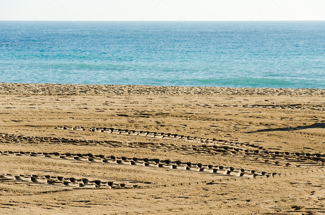 Trilhos da roda do trator na areia dourada da praia