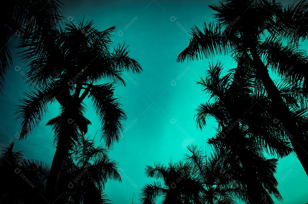 Palmeiras tropicais altas vintage.