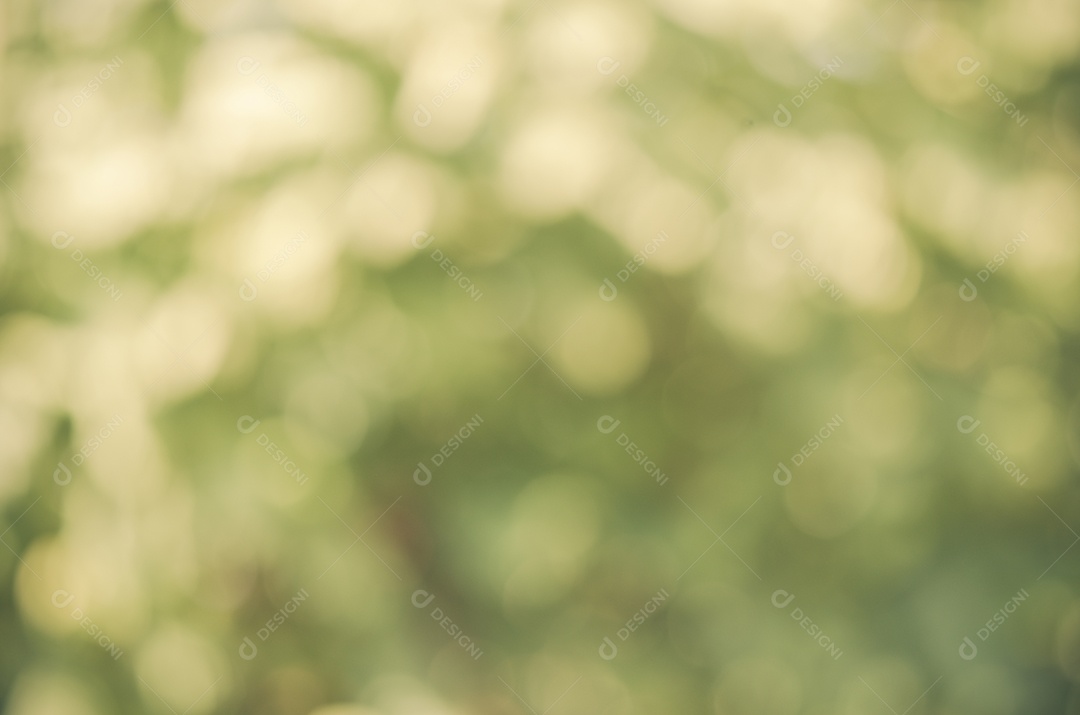 Fundo desfocado verde natural natureza.