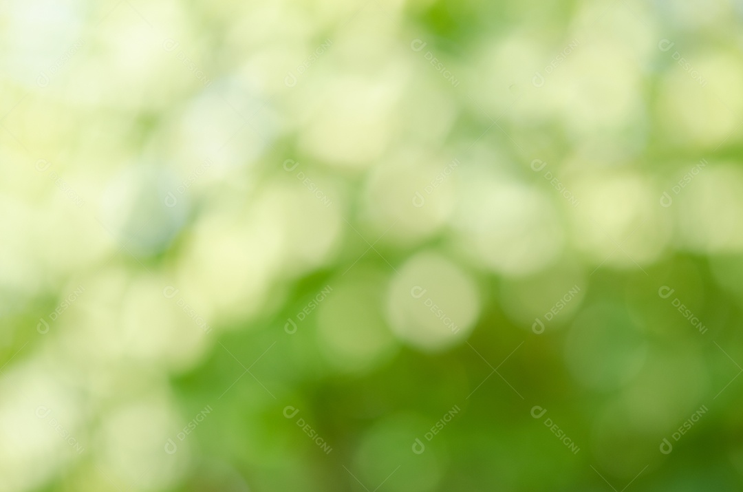 Fundo desfocado verde natural natureza.