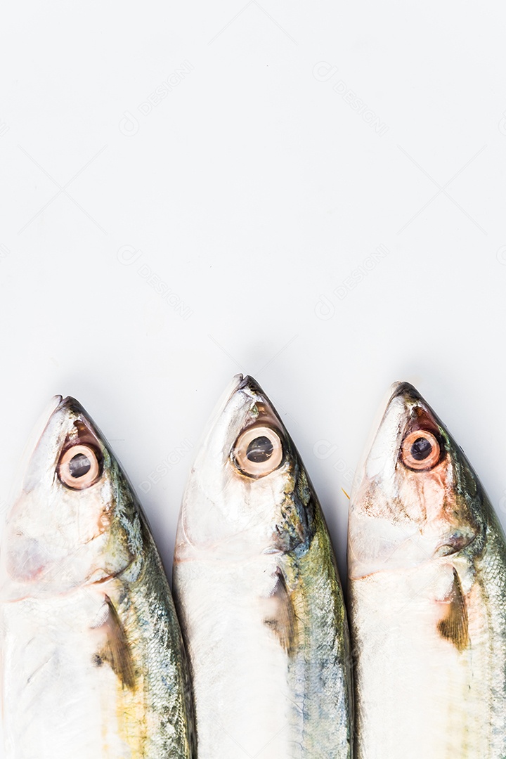 short mackerel on white background