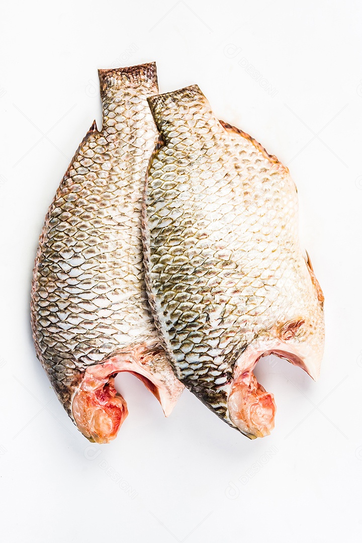 fundo branco de tilápia do Nilo