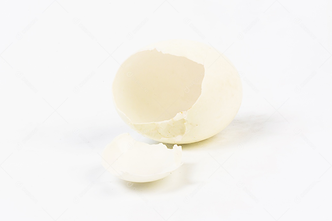 Casca de ovo no fundo branco