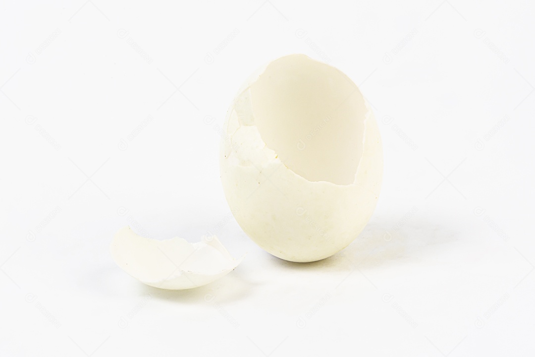 Casca de ovo no fundo branco