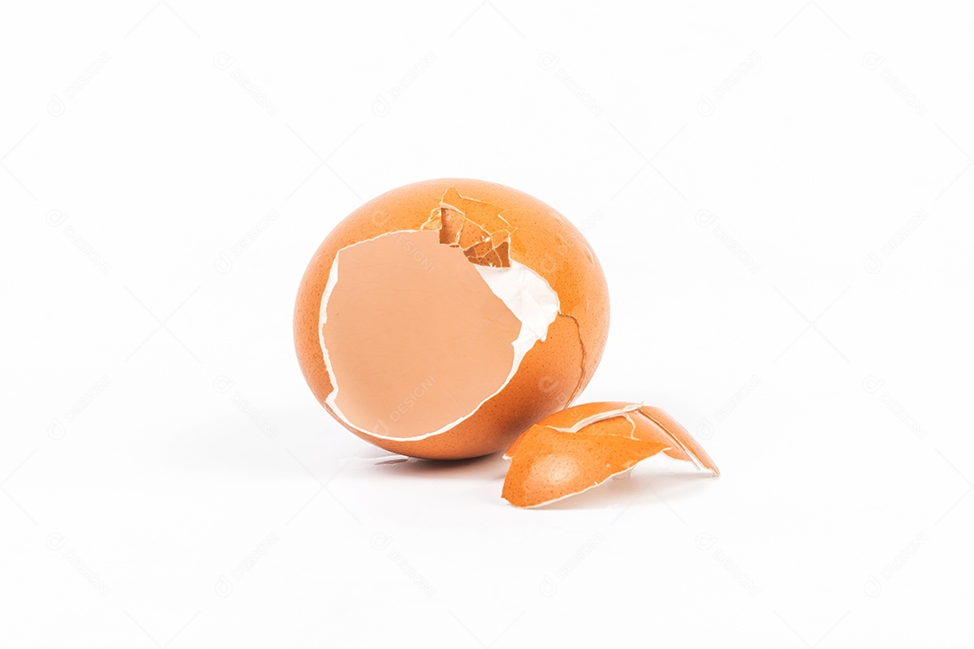 Casca de ovo no fundo branco