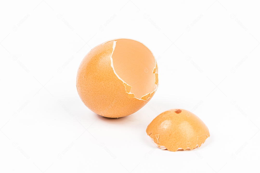 Casca de ovo no fundo branco