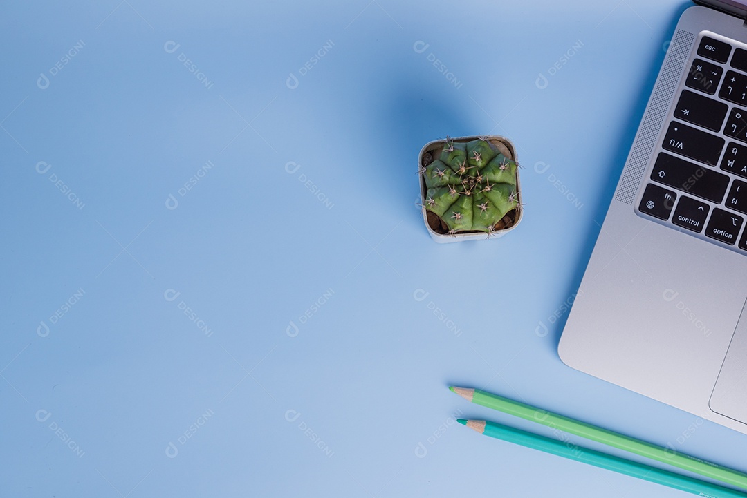 Vista superior do cacto do computador e do espaço da cópia do lápis de cor acima no fundo.