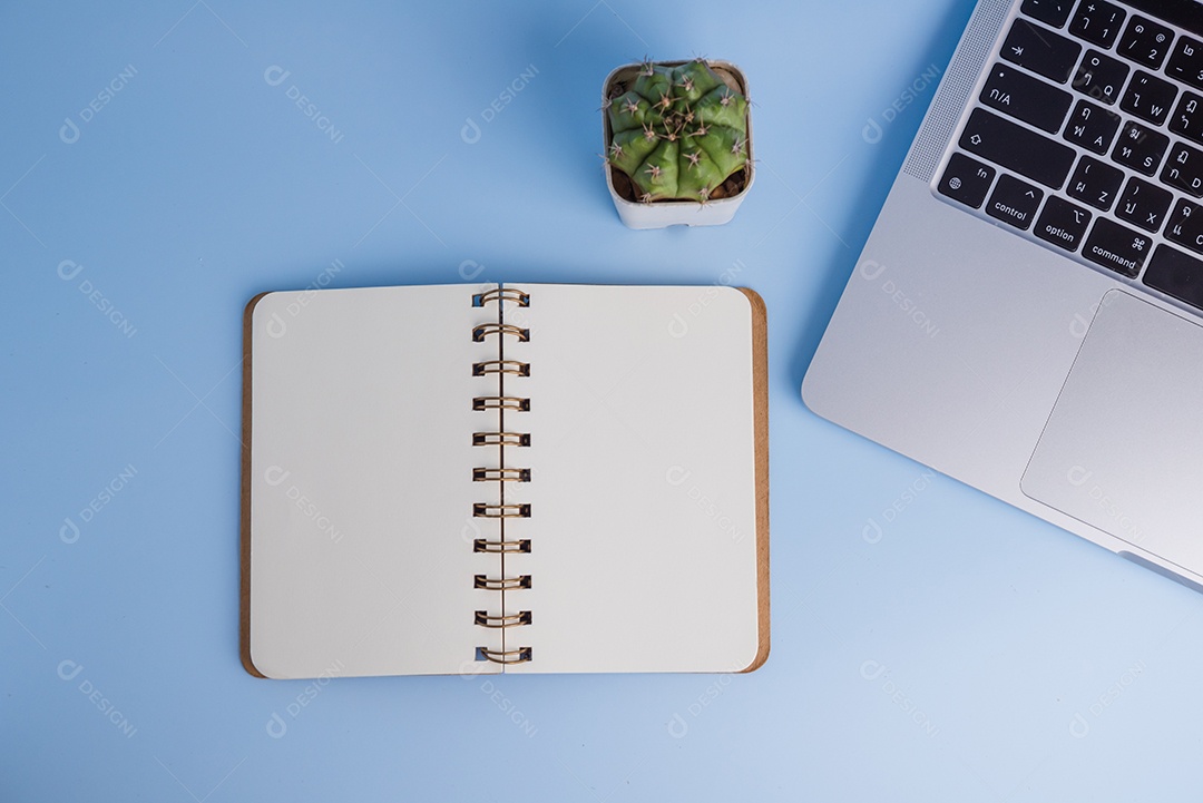 Vista superior computador cacto e espaço de cópia de notebook acima no fundo.