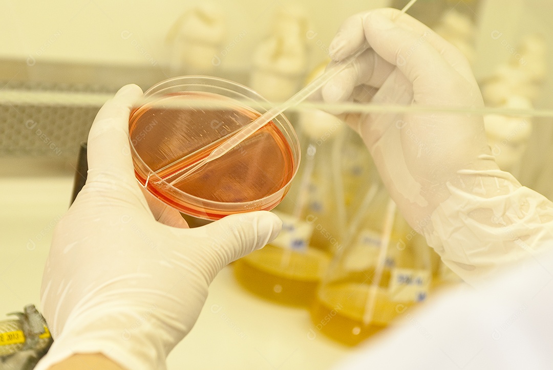 Imagem de um sistema de analise e pesquisa