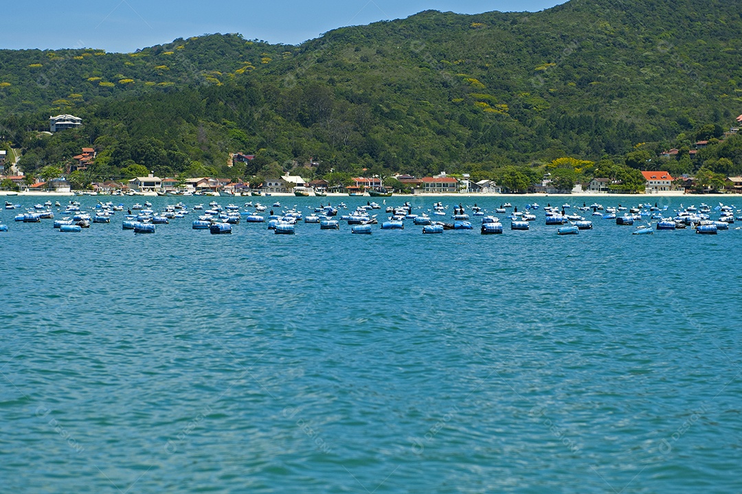Imagens de vários barcos no mar de aguas azuis