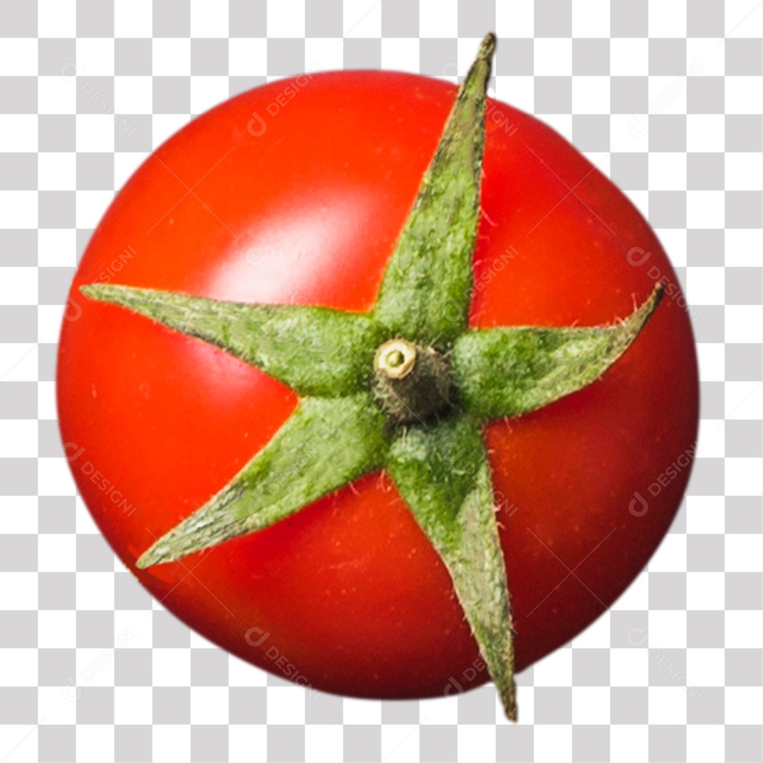 Legume Tomate Vermelho Para O Preparo PNG Transparente