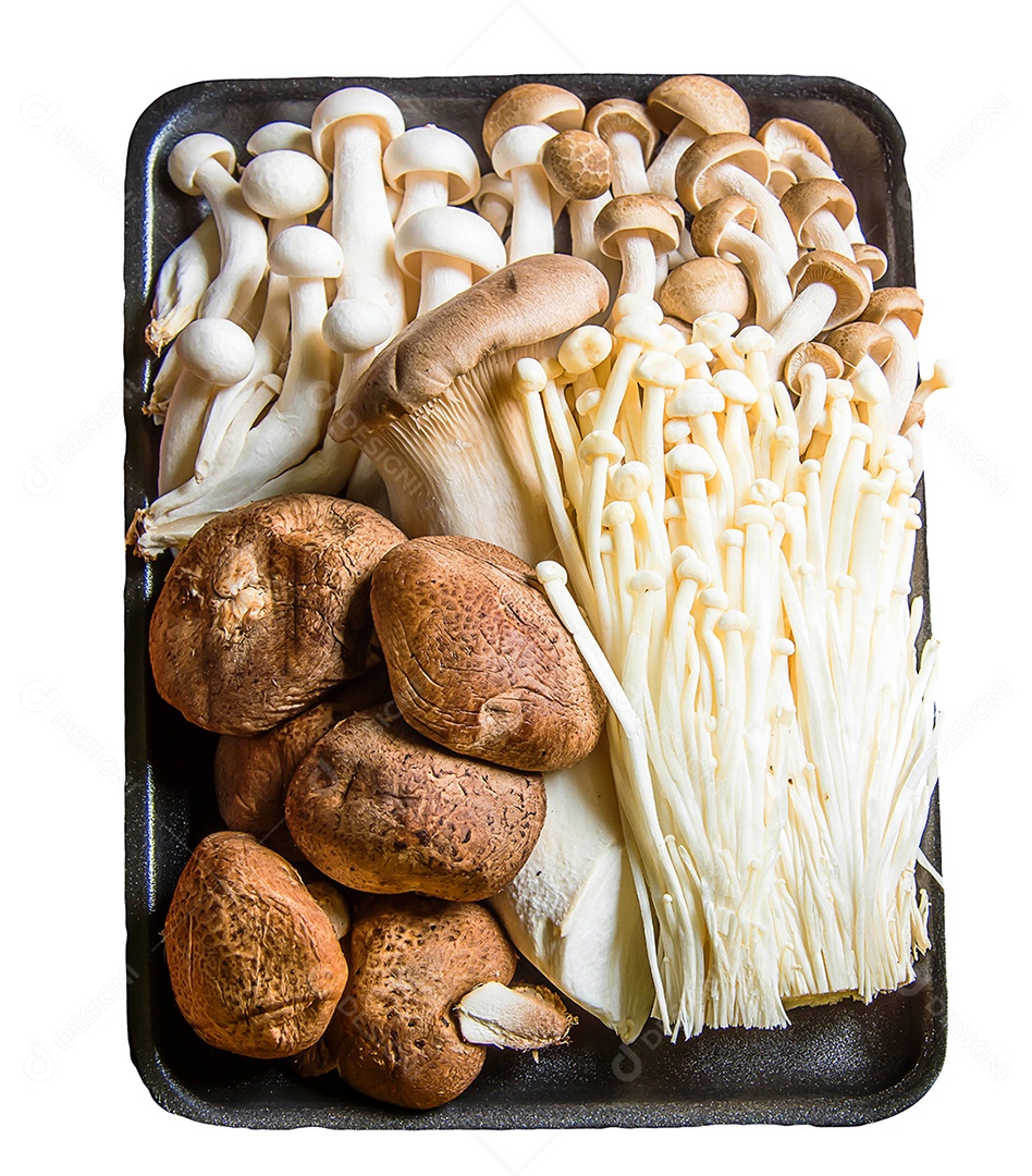 cogumelo em fundo branco