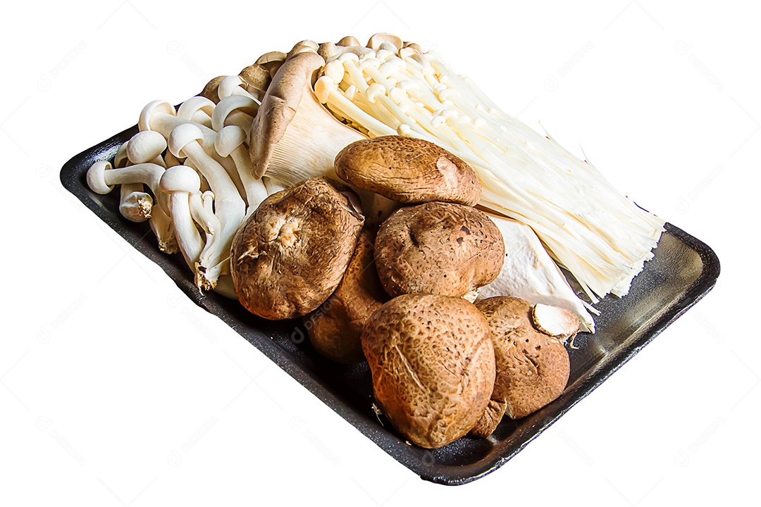 cogumelo em fundo branco