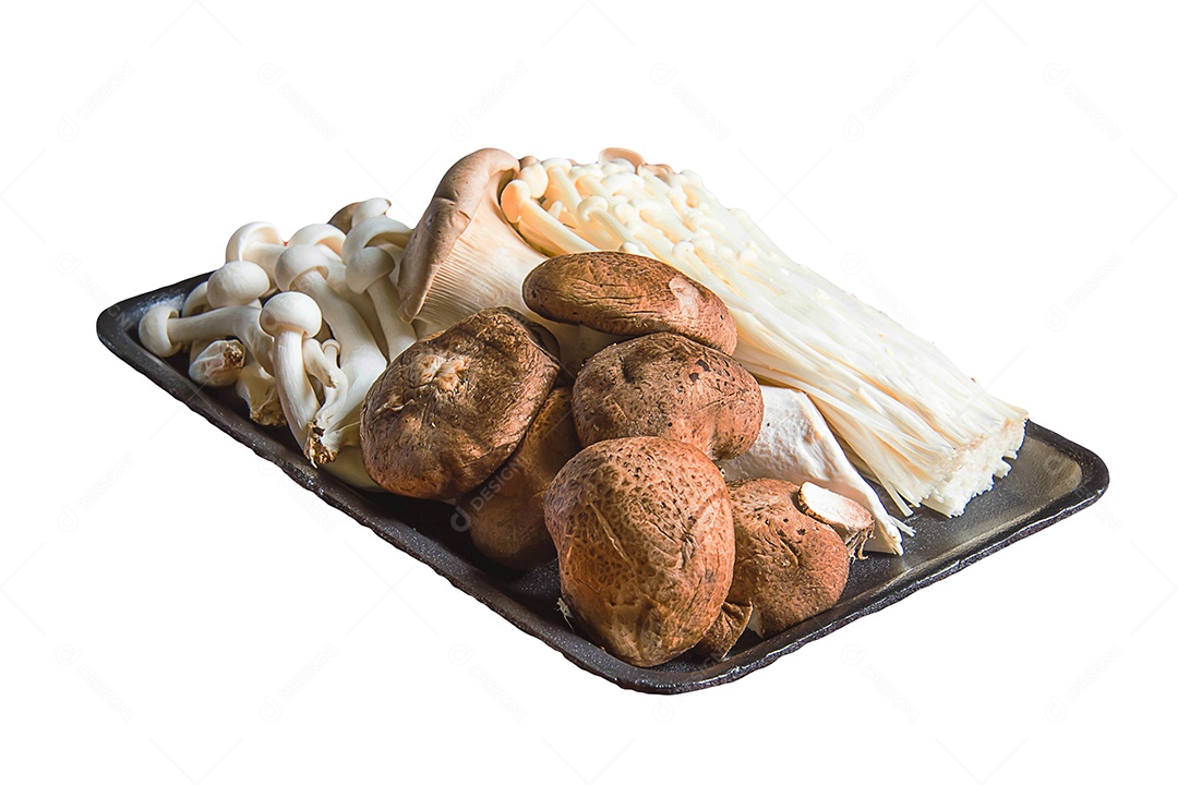 cogumelo em fundo branco