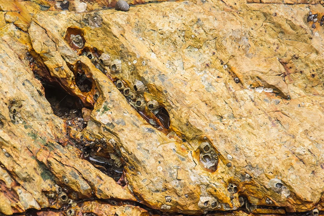 Textura de pedra de fundo de pedra fechada, fundo abstrato, modelo vazio