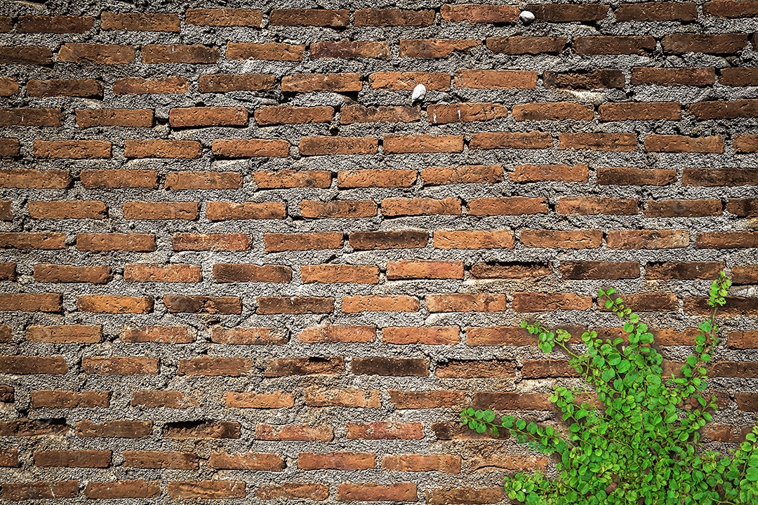 cenário de parede de tijolos para fundo