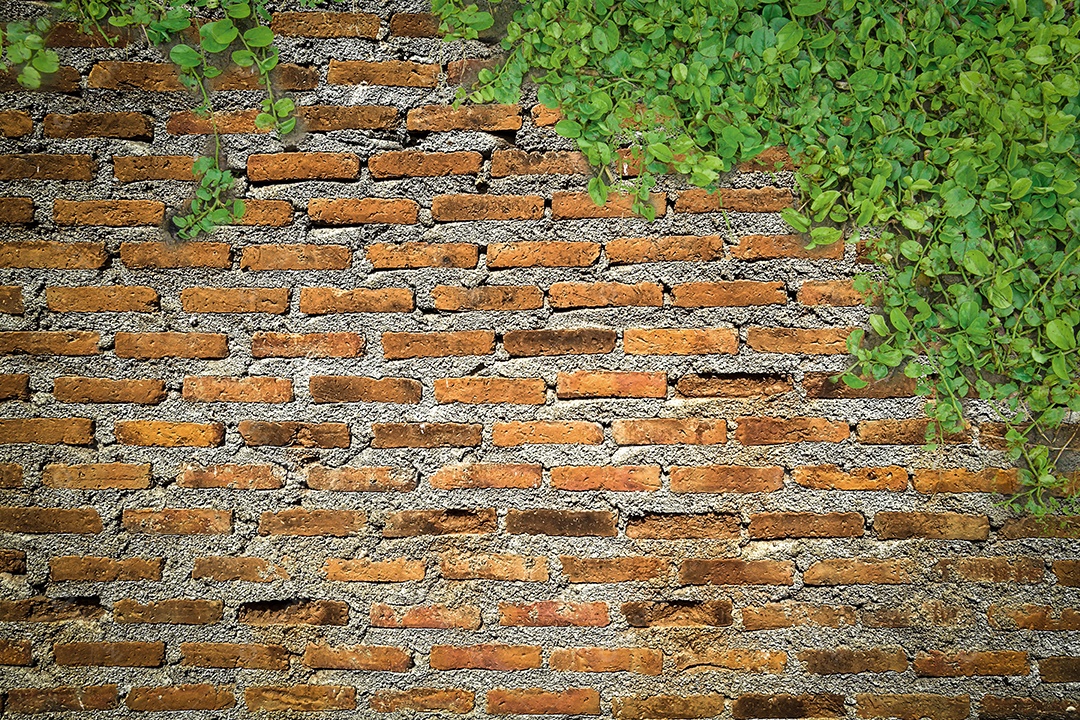 cenário de parede de tijolos para fundo