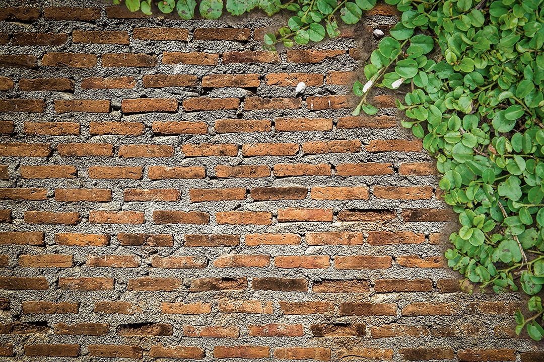cenário de parede de tijolos para fundo