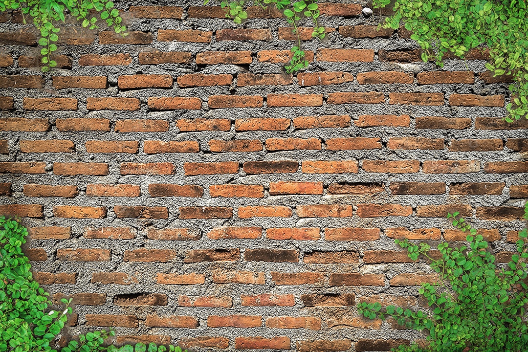 cenário de parede de tijolos para fundo