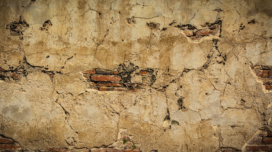 TAILÂNDIA Ruínas e antiguidades no Parque Histórico de Ayutthaya Turistas de todo o mundo decadência de Buda