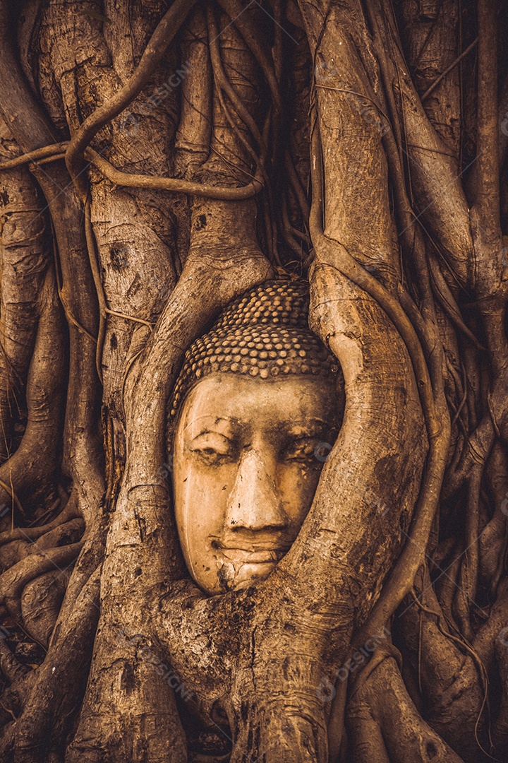 TAILÂNDIA Ruínas e antiguidades no Parque Histórico de Ayutthaya Turistas de todo o mundo decadência de Buda