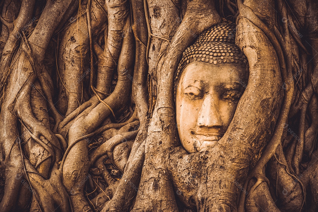 TAILÂNDIA Ruínas e antiguidades no Parque Histórico de Ayutthaya Turistas de todo o mundo decadência de Buda