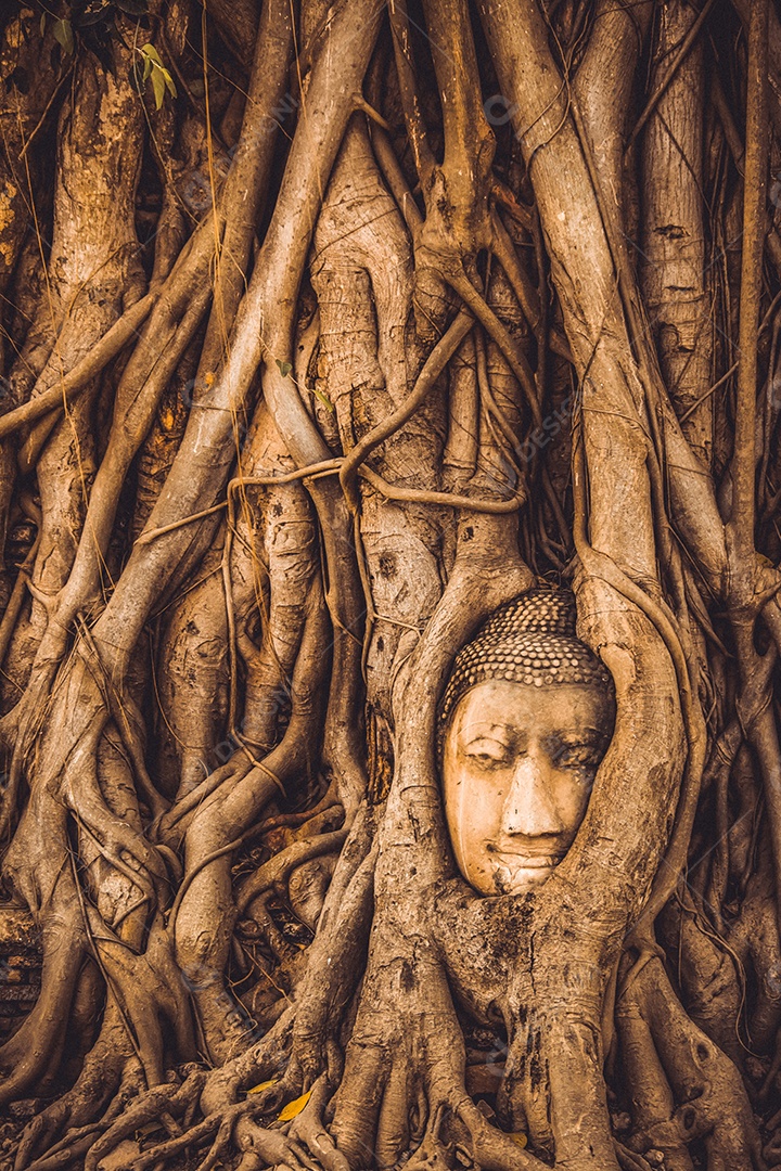 TAILÂNDIA Ruínas e antiguidades no Parque Histórico de Ayutthaya Turistas de todo o mundo decadência de Buda