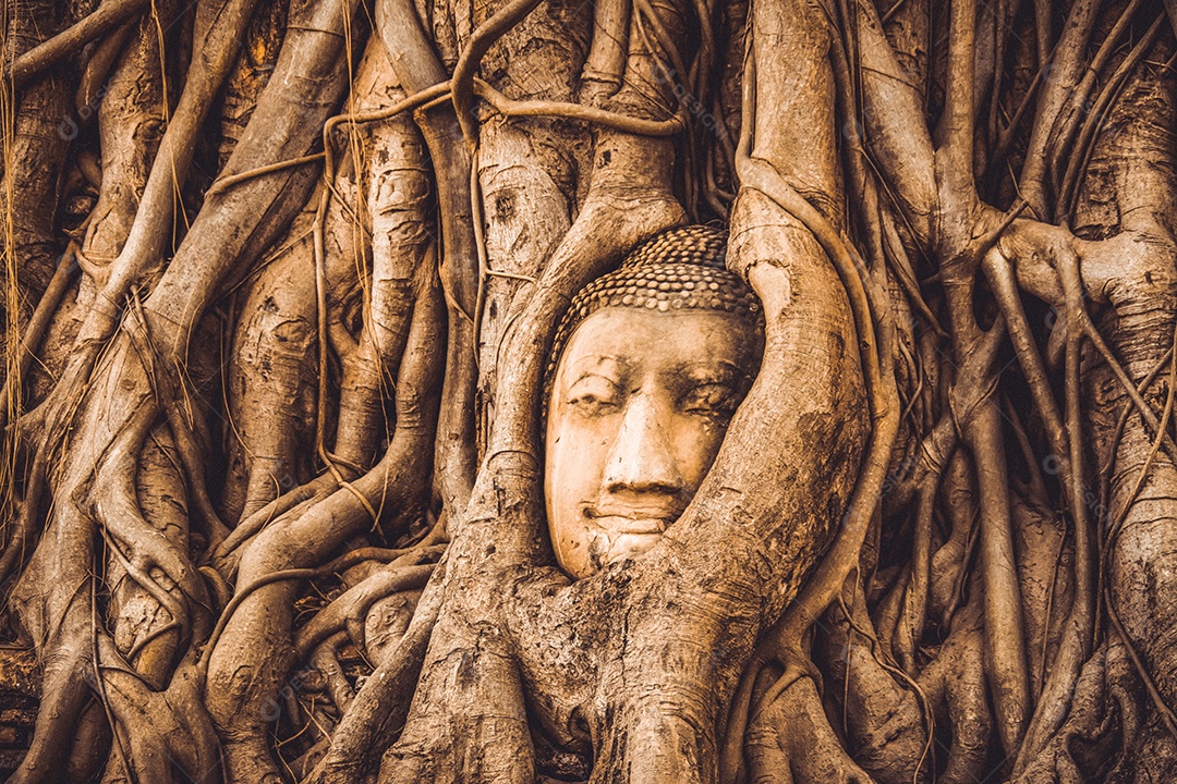 TAILÂNDIA Ruínas e antiguidades no Parque Histórico de Ayutthaya Turistas de todo o mundo decadência de Buda