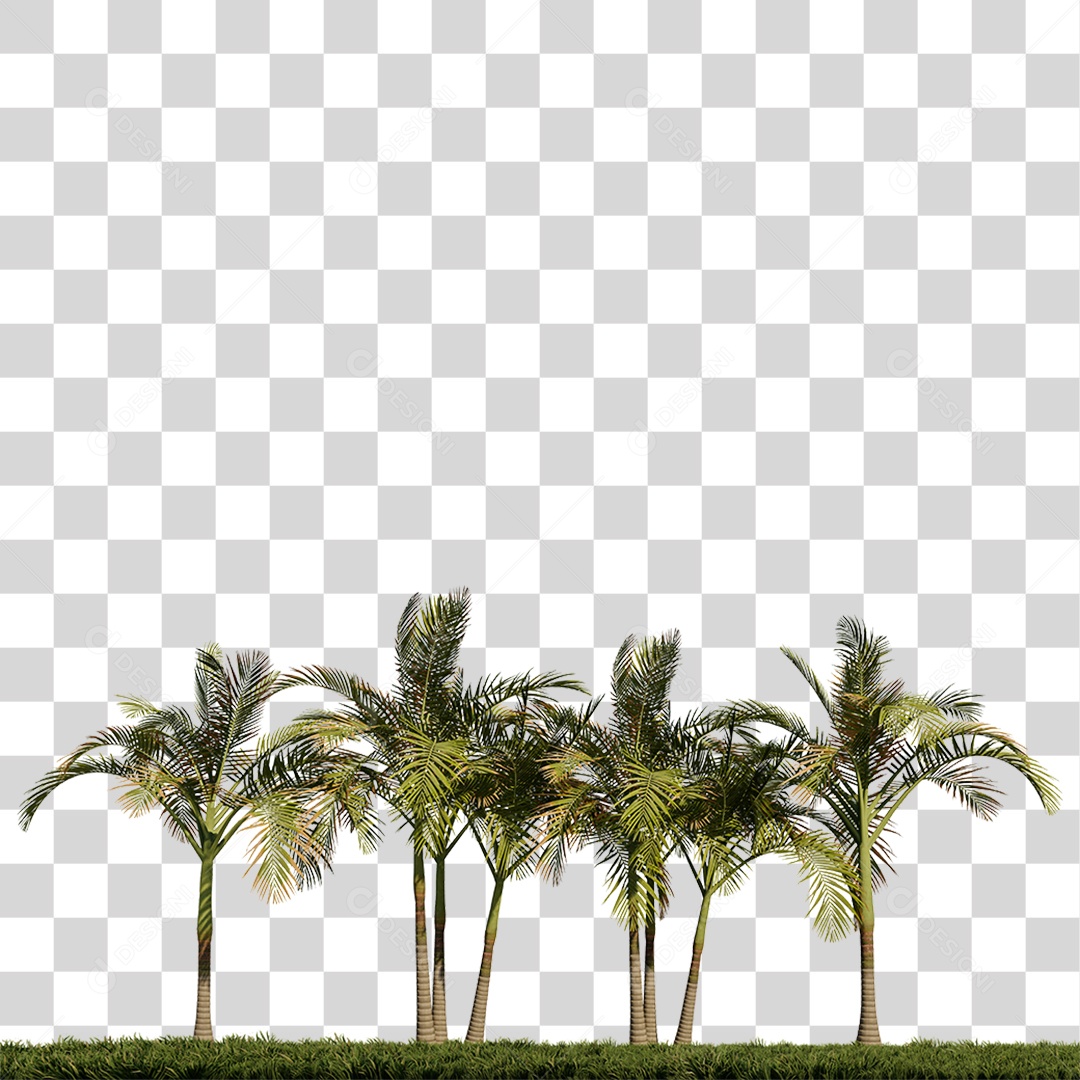 Árvores Grandes em Grama PNG Transparente