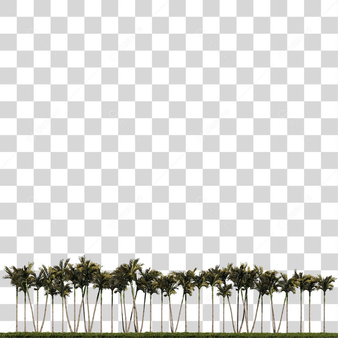 Árvore de Folha Verde Coqueiro PNG Transparente