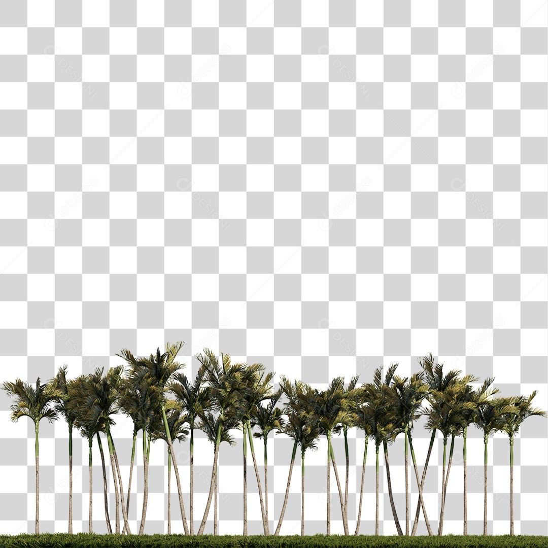 Árvore de Folha Verde Coqueiro PNG Transparente