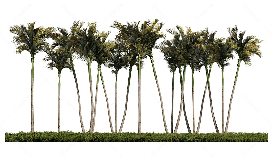 3ds renderizando a imagem da vista frontal das palmeiras no campo de gramíneas.
