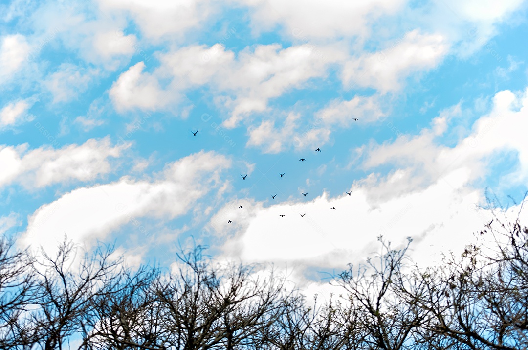 Céu azul com a silhueta de um avião voando.