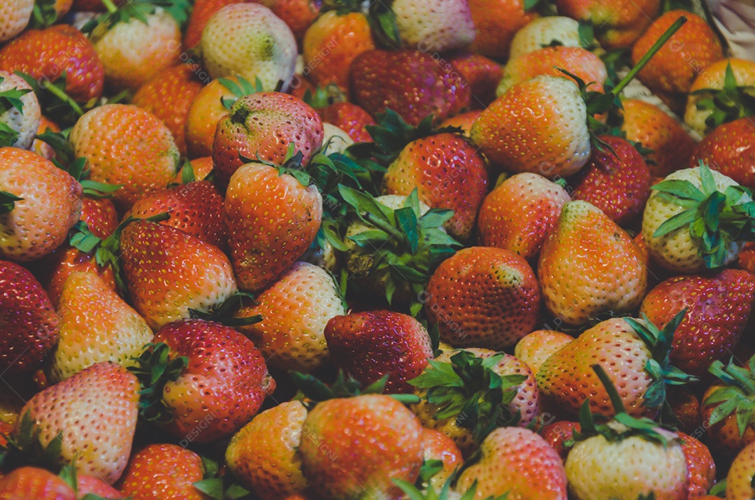 Fundo de morangos frescos vermelhos. tom vintage