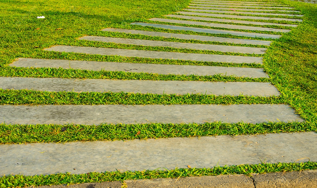 O Caminho na grama verde do jardim.