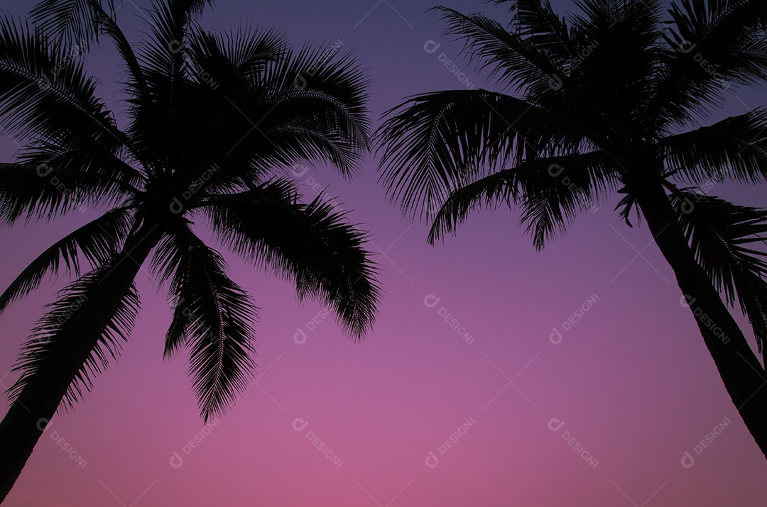 Palmeiras no fundo do pôr do sol lindo.