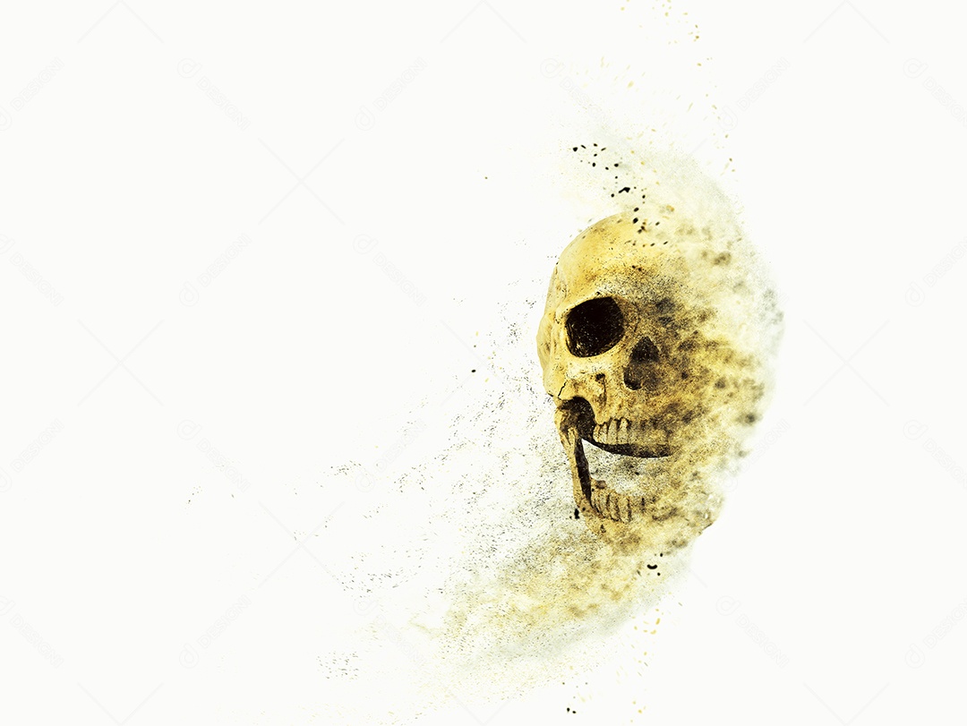 Crânio caveira sobre fundo isolado