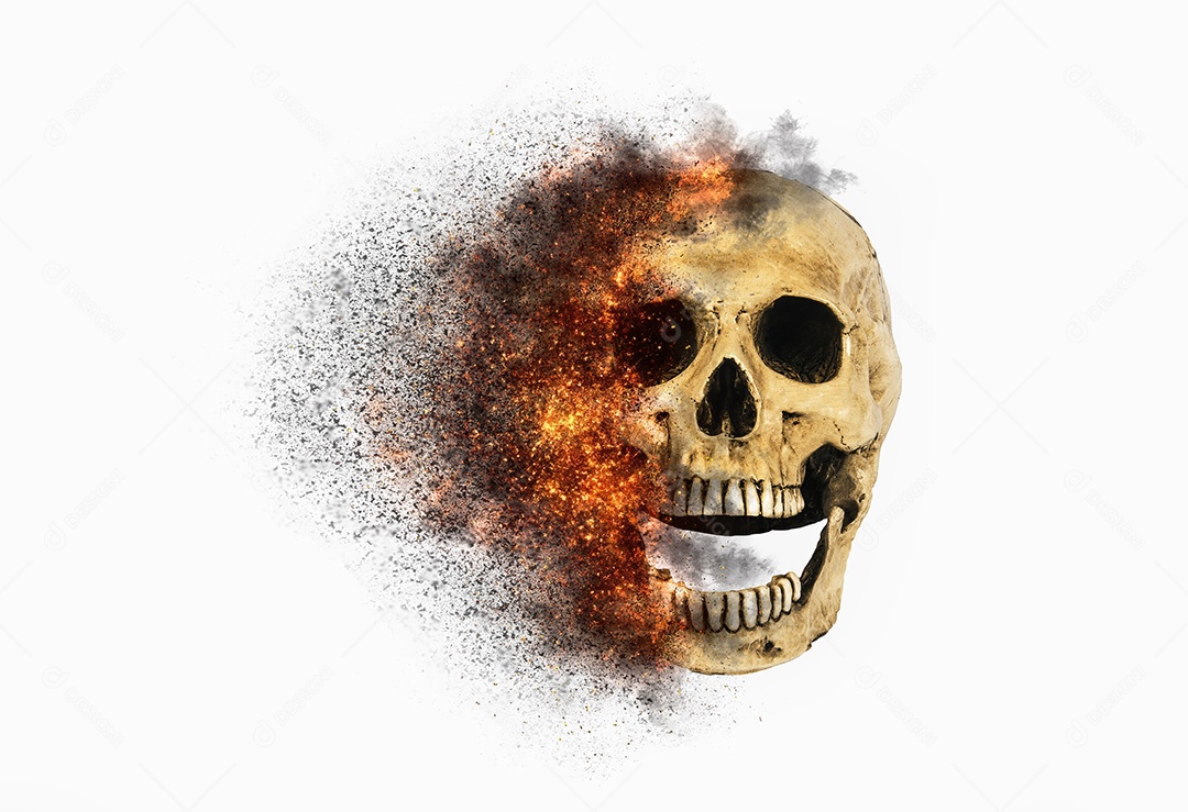 Skull skull on isolated background