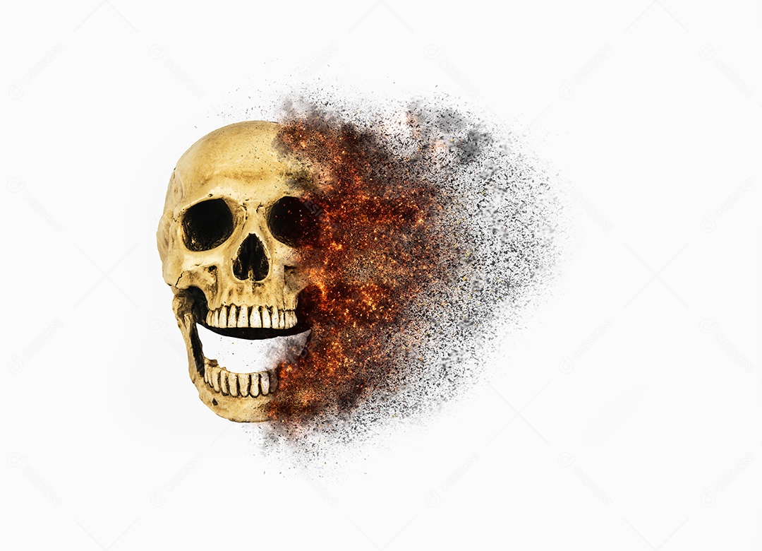 Crânio caveira sobre fundo isolado