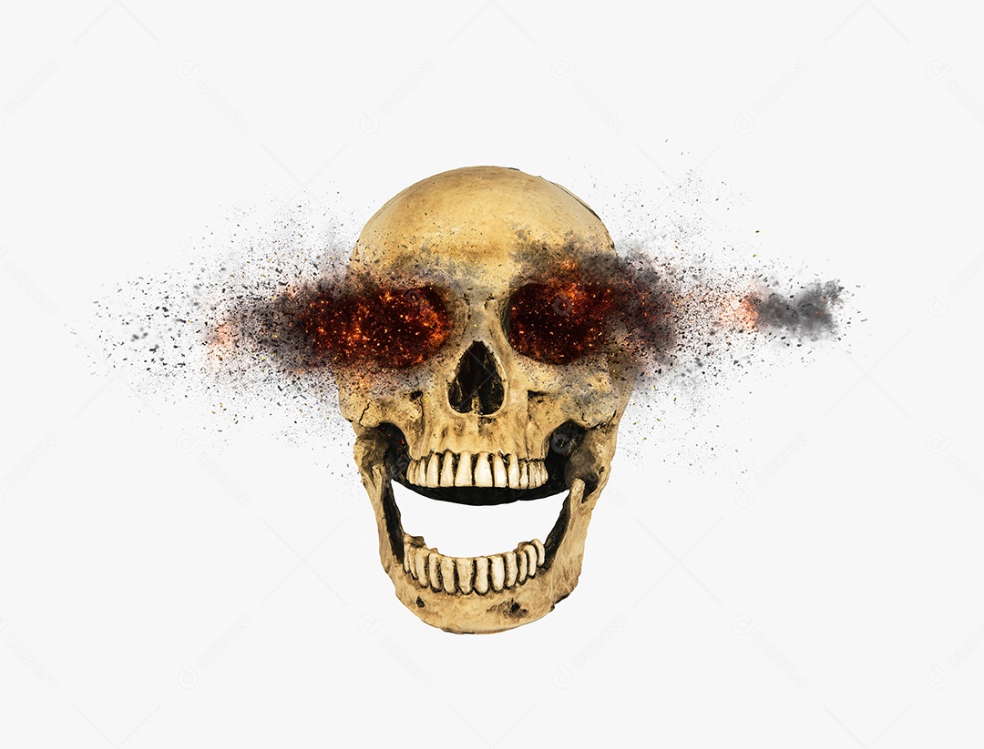 Crânio caveira sobre fundo isolado