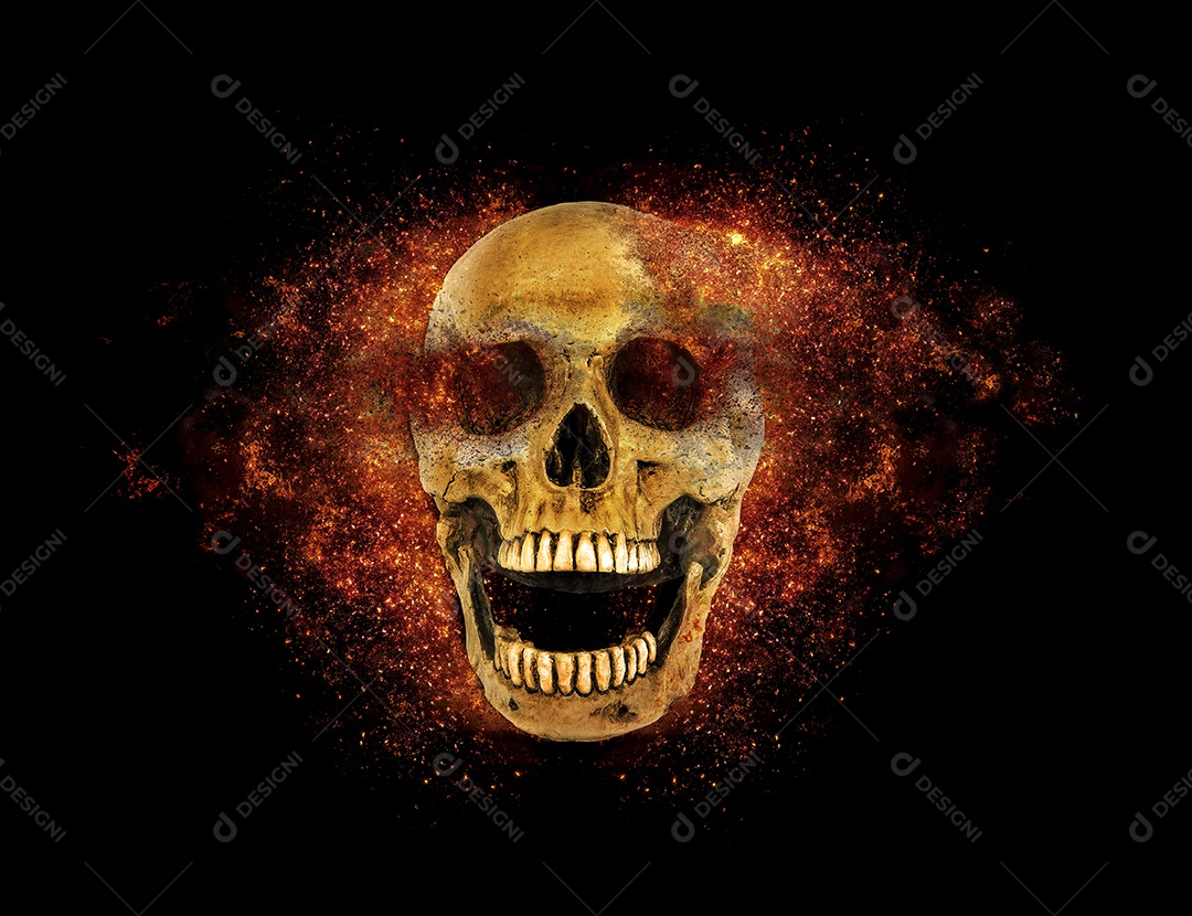 Crânio caveira sobre fundo isolado