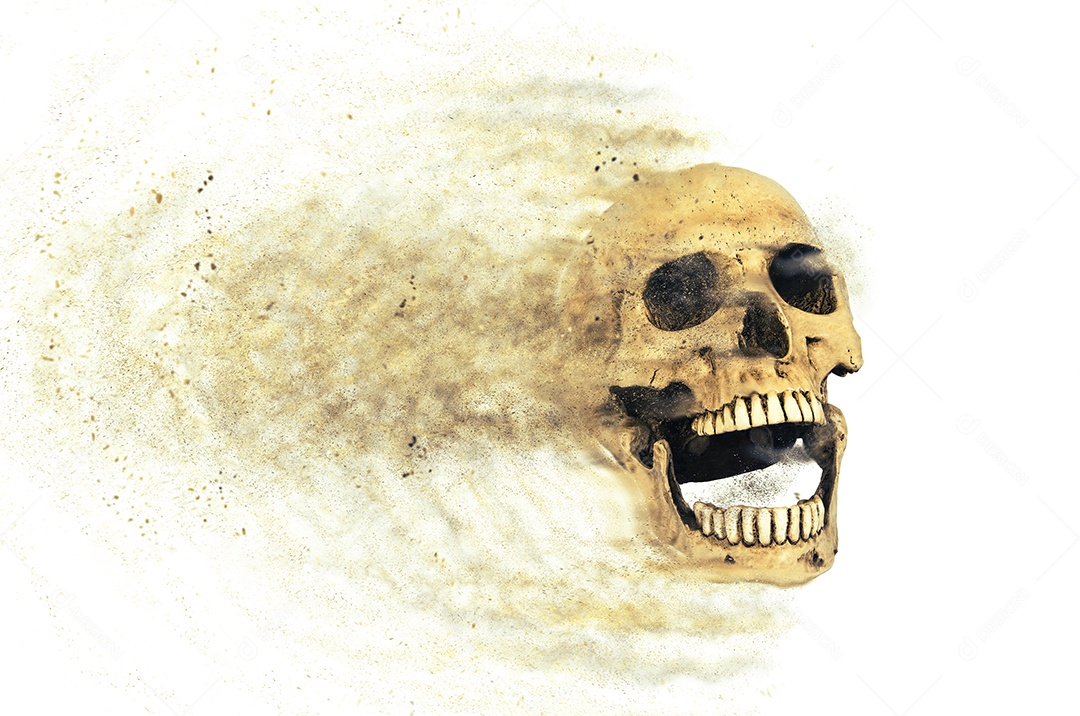 Crânio caveira sobre fundo isolado