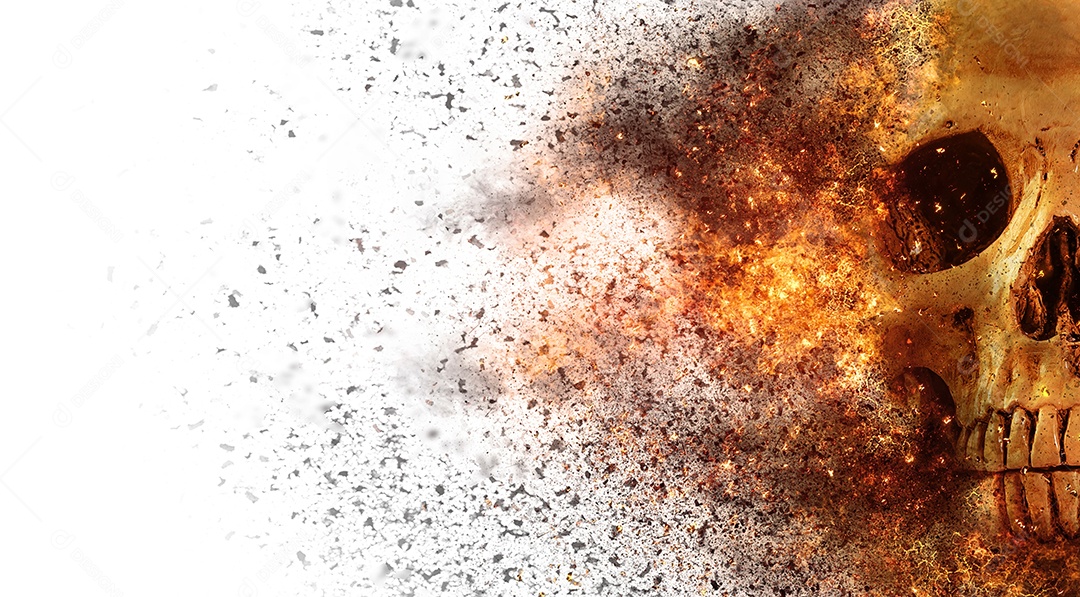 Crânio caveira sobre fundo isolado